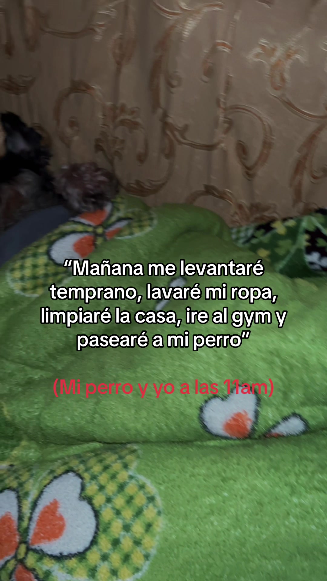 @Jeanshorty09