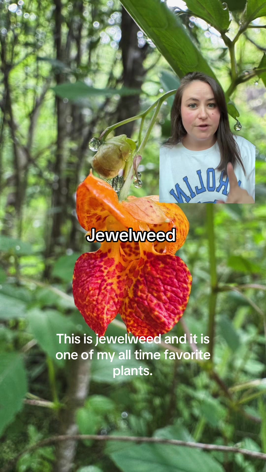 @Hayley 🌿🦇🌻