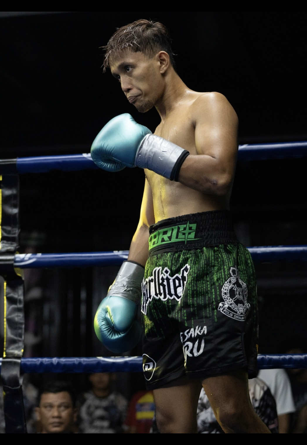 @Malaysia Fight League