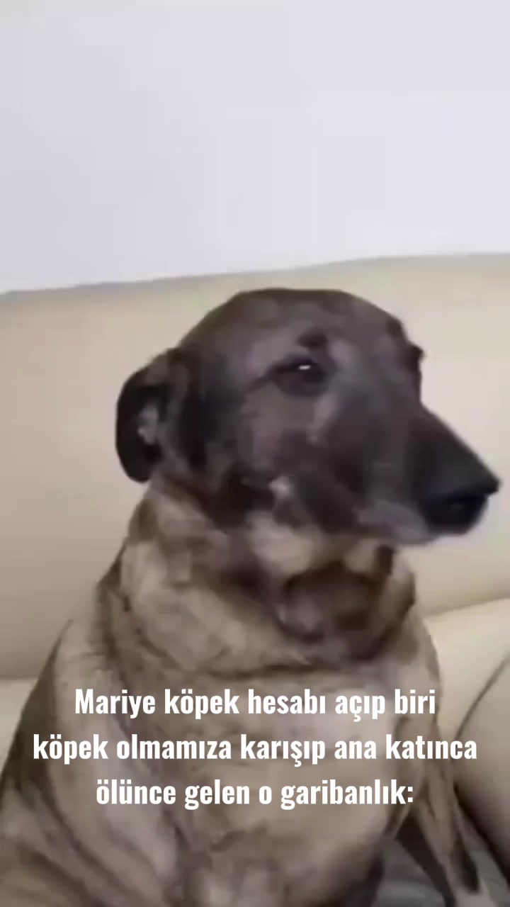 @ðððððððâ¡ïž