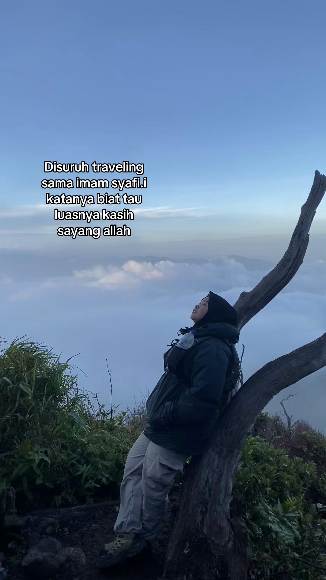 @slmaaaaaa
