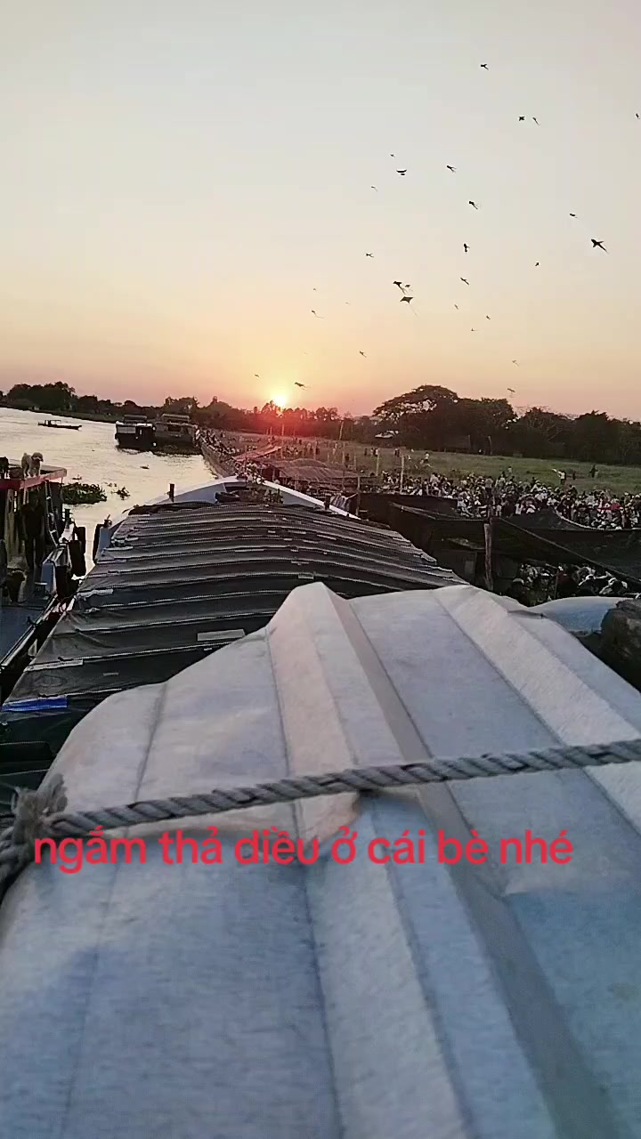 @&Uacute;t Thật hậu Giang