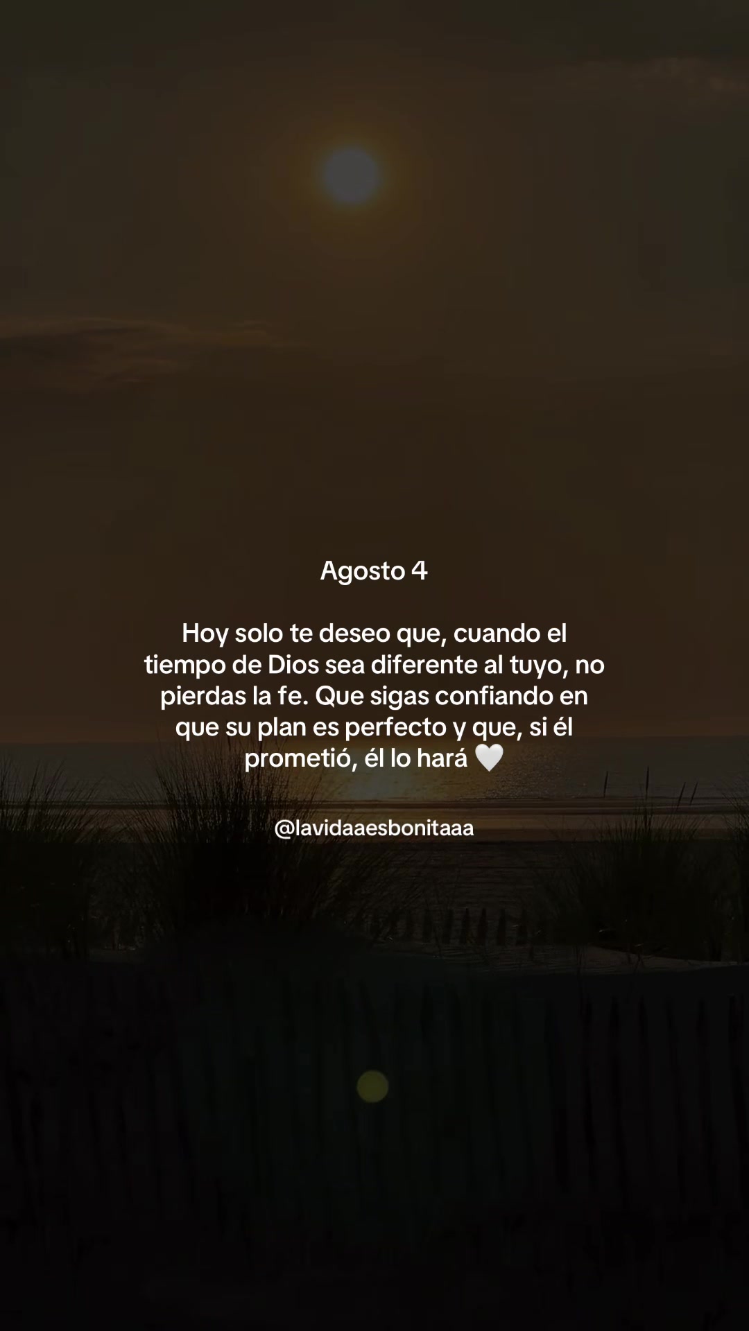 @vidabonita❤️🩹