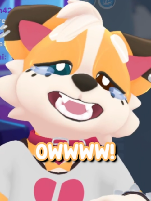 @Corgi