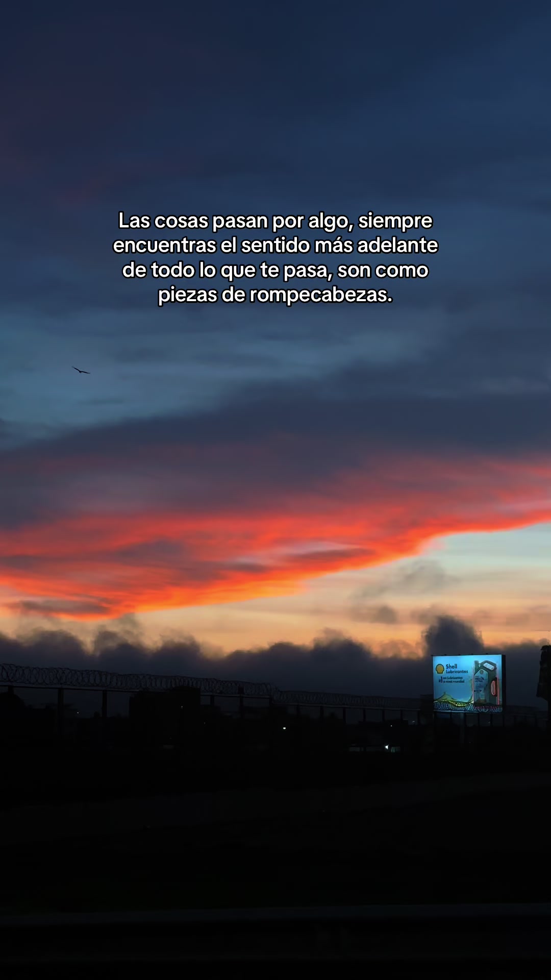 @LE&Oacute;NIDAS