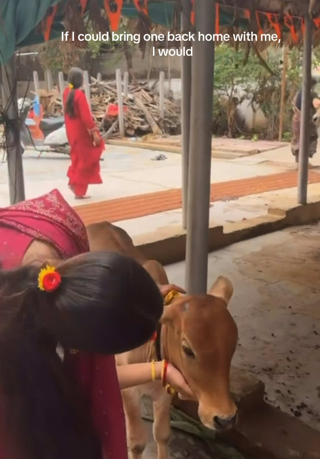 @Sreekavya