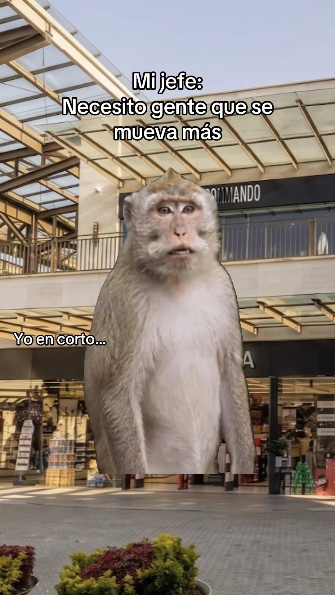 @Tonny_AAMG8