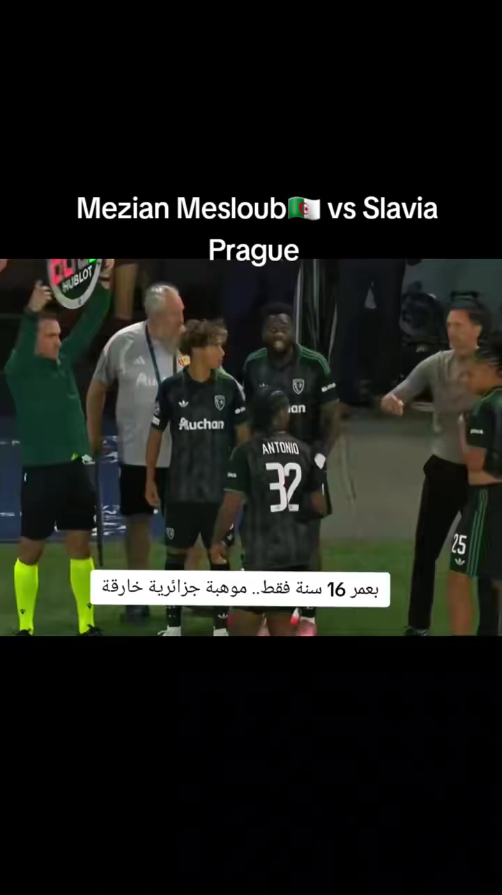 @Dassa.Mustapha🦍🇩🇿
