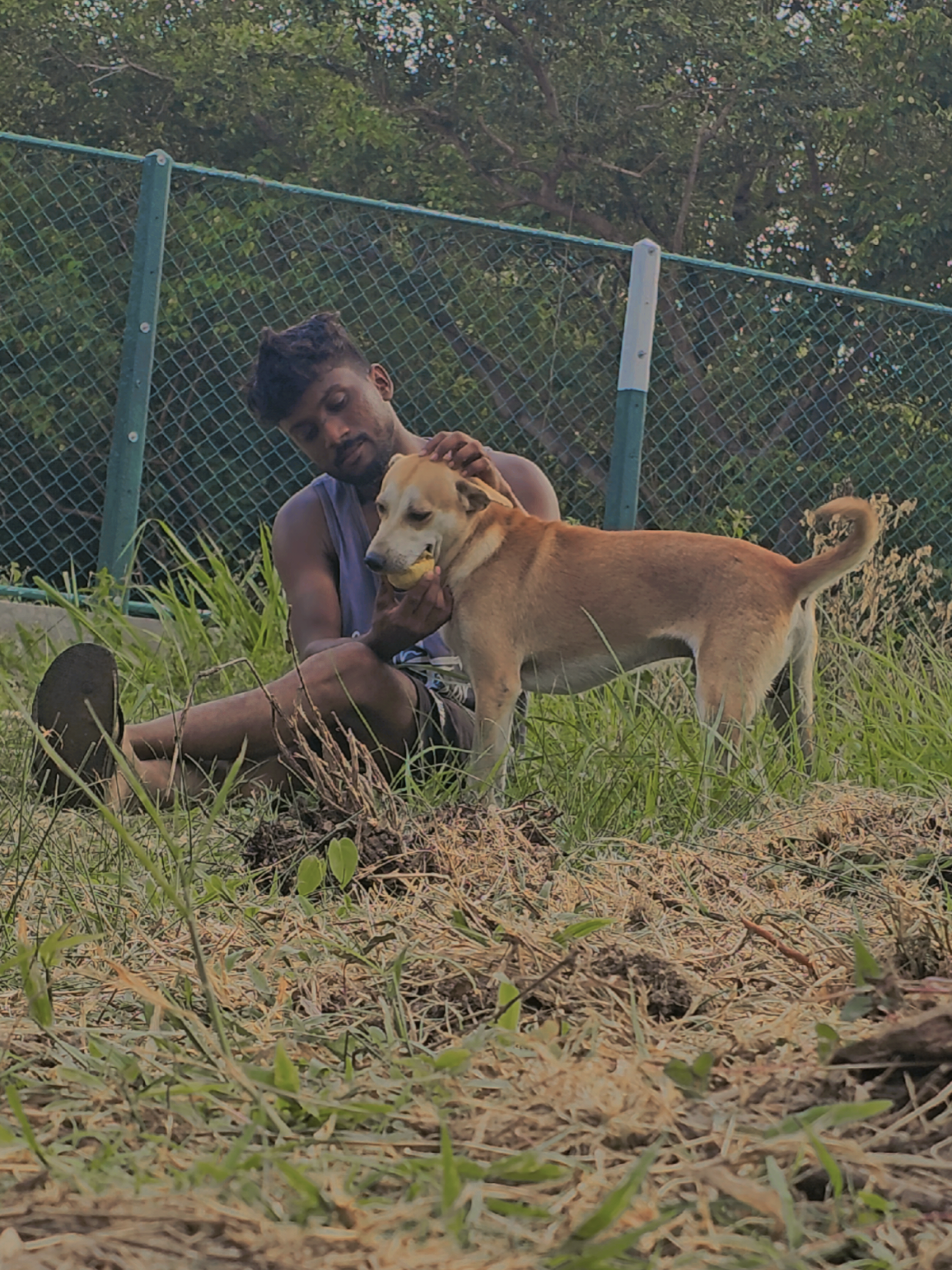 @𝗙𝗔𝗥𝗠 𝗪𝗜𝗡𝗚𝗦