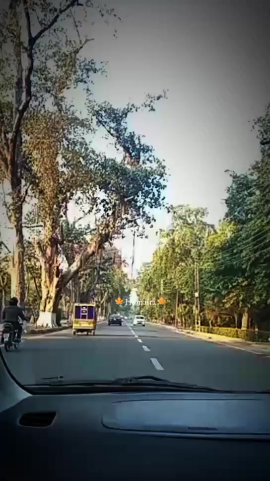 @Humaira🦋