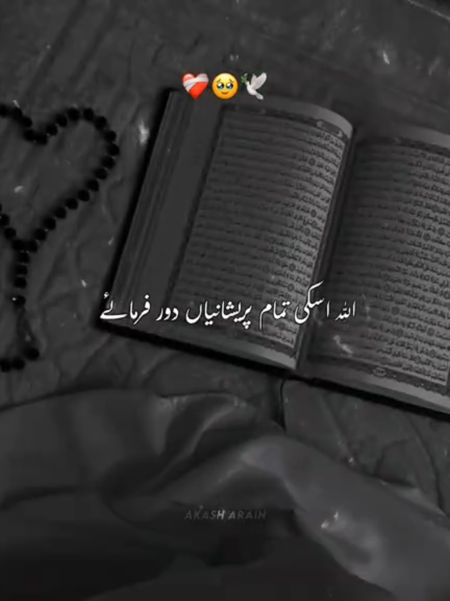 @𝘼𝙠𝙖𝙨𝙝 🏴