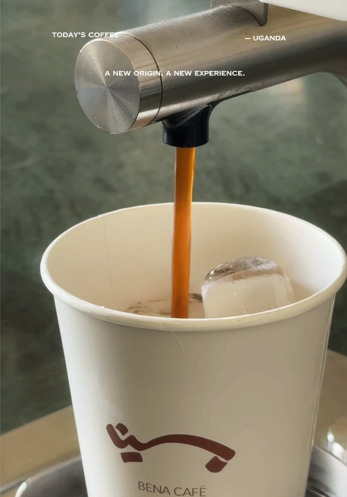 @Bena.caffe