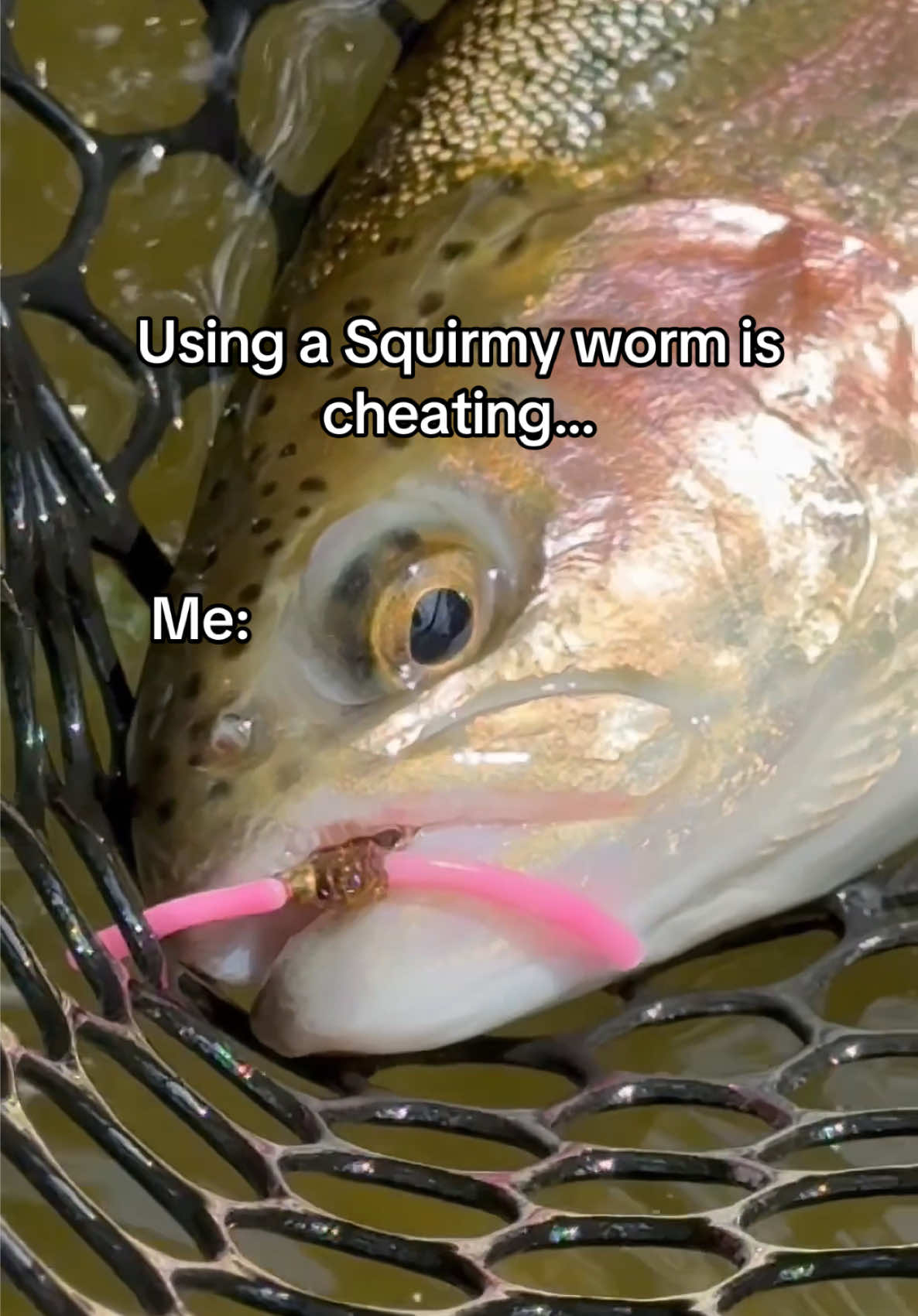 @FlyFishDelawhere