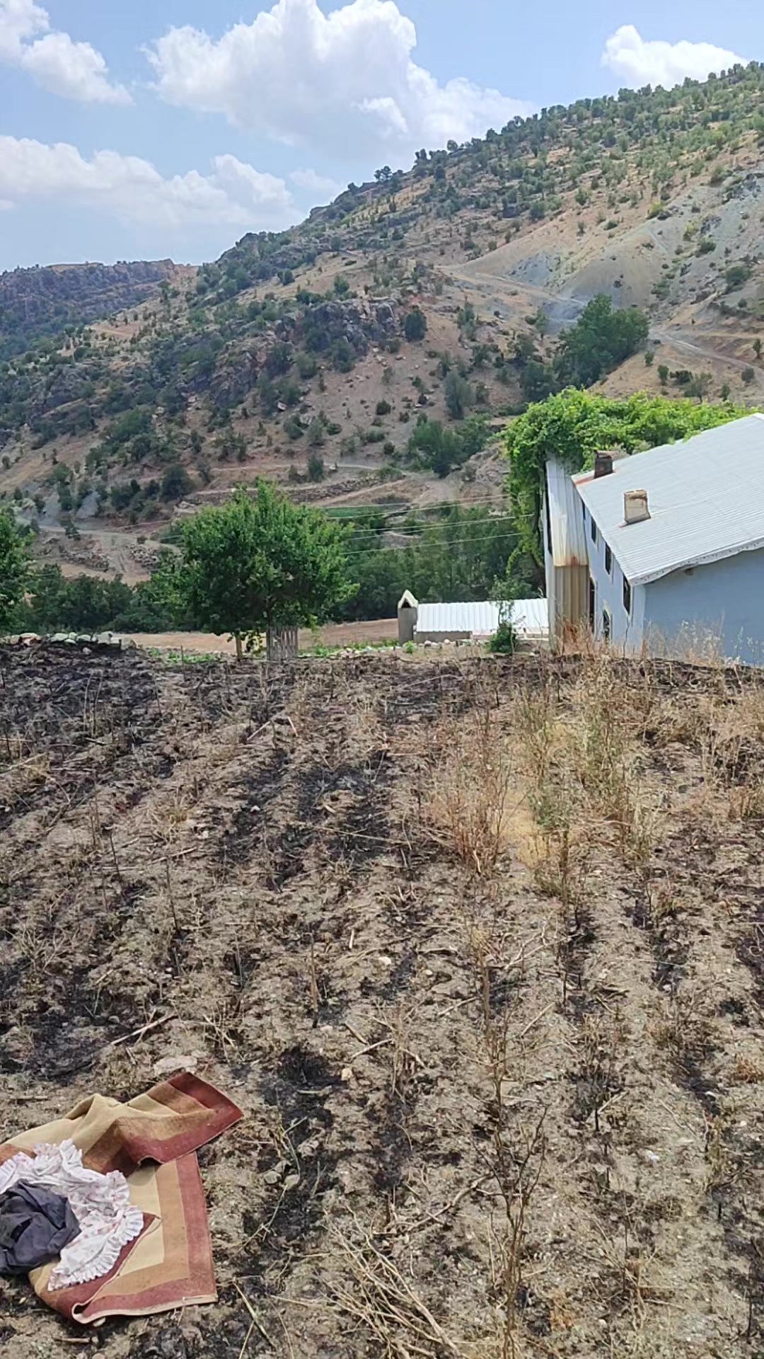 @02 adıyaman fatih