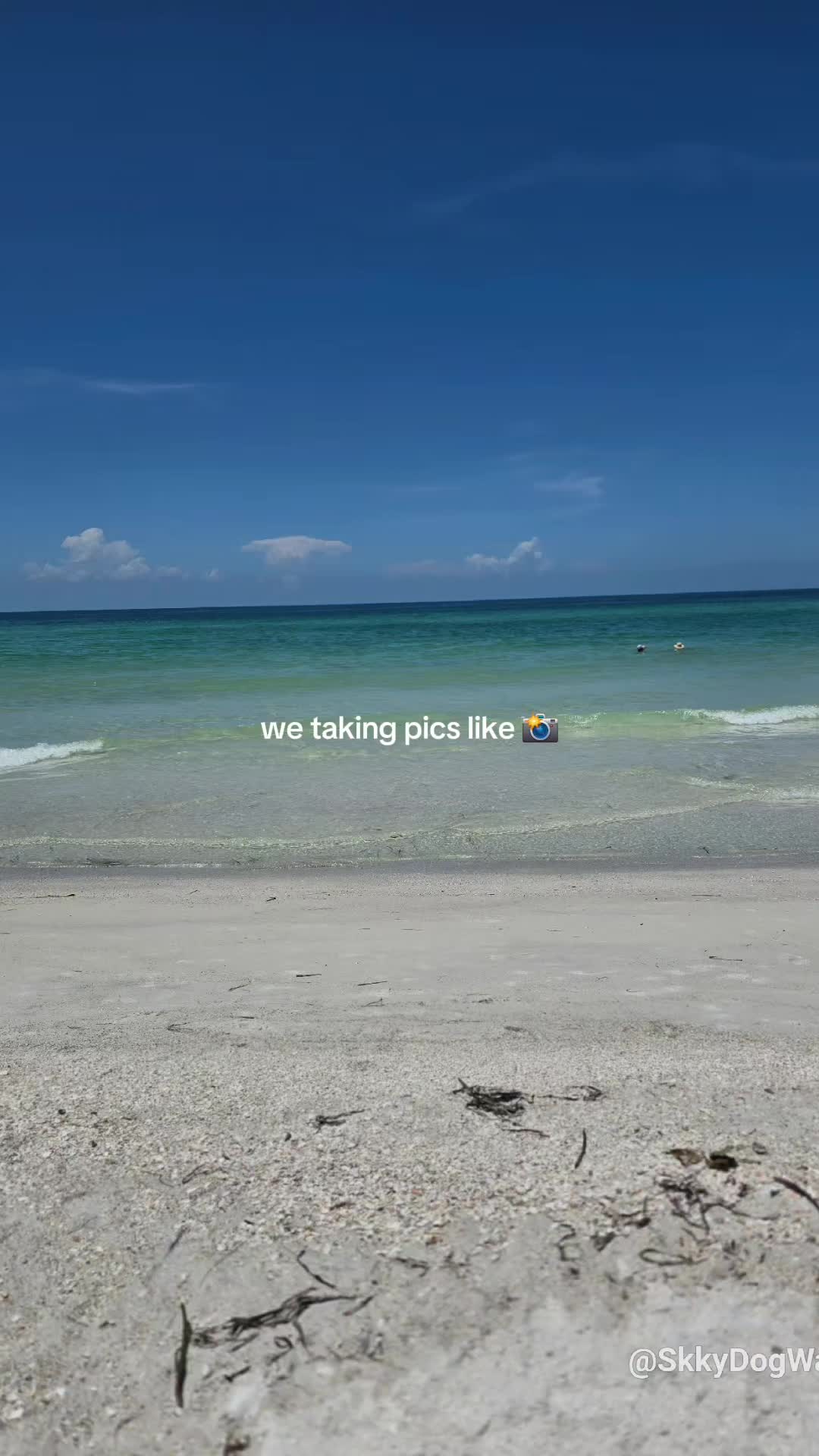 @SkkyDogWalker
