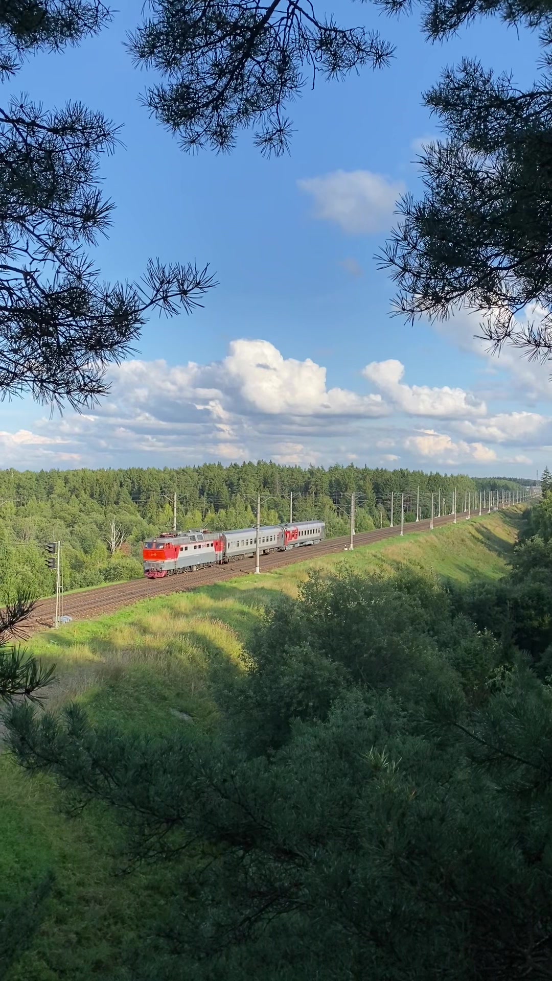 @rzd_fan_18