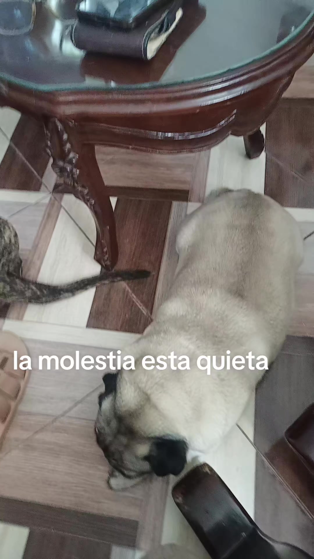 @dulce luna