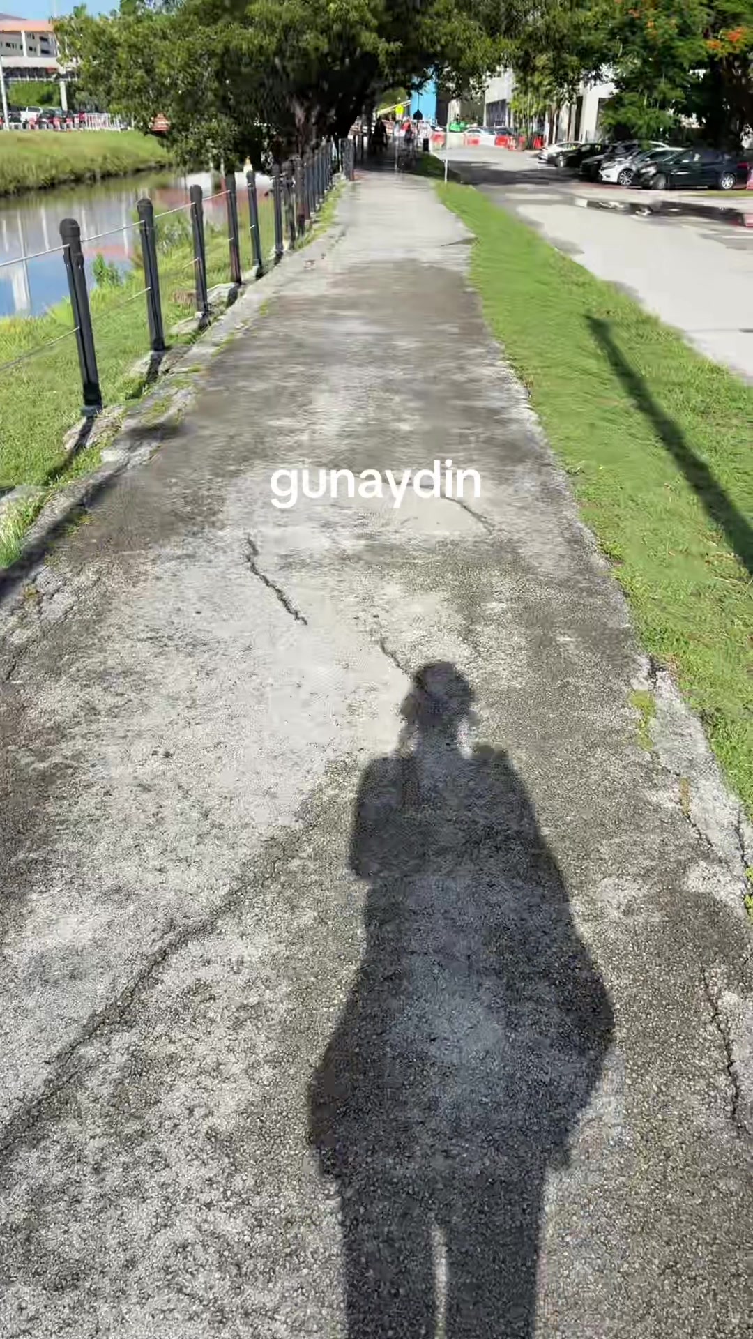 @nesveeee