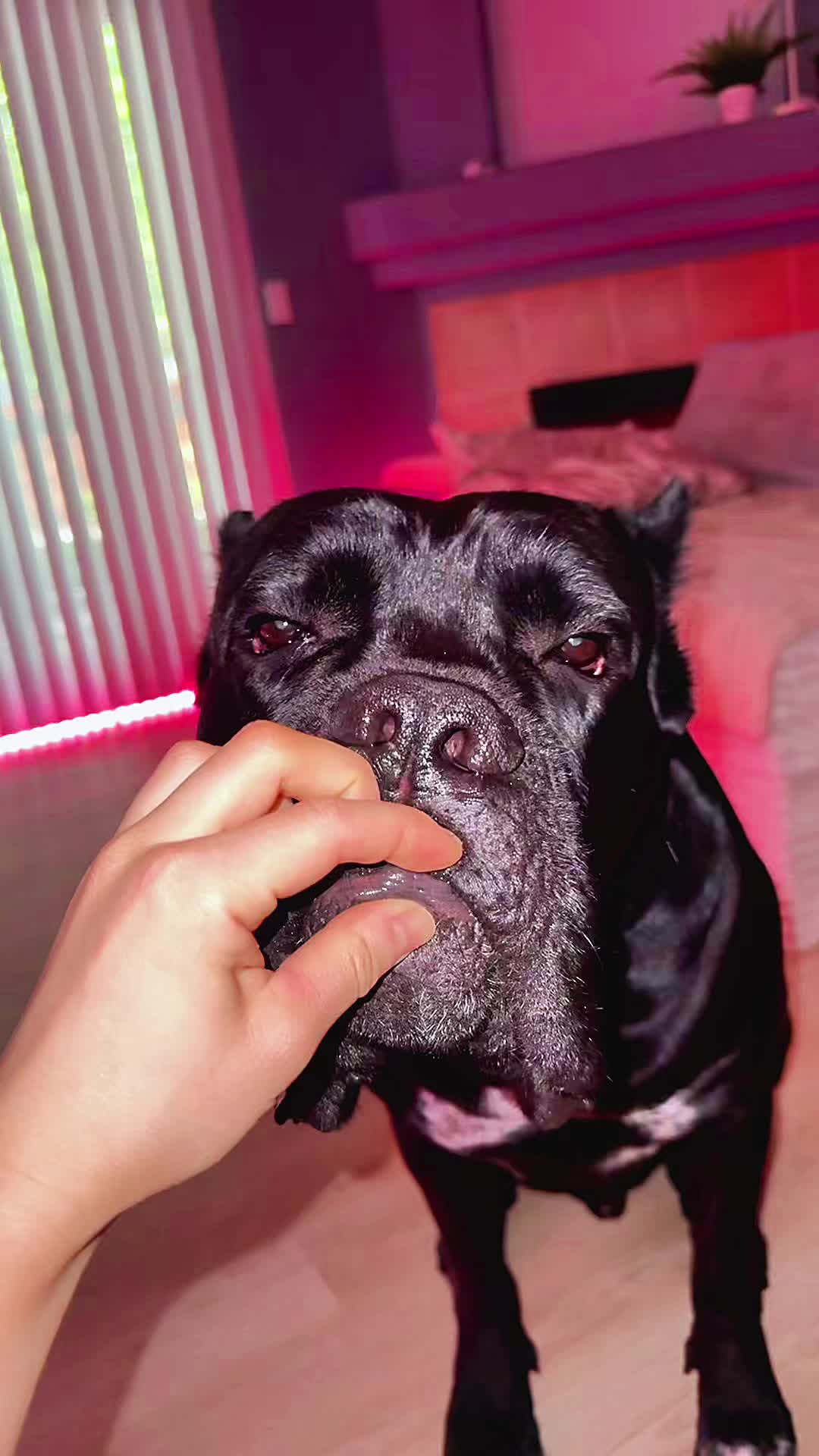 @Bentley Has Issues