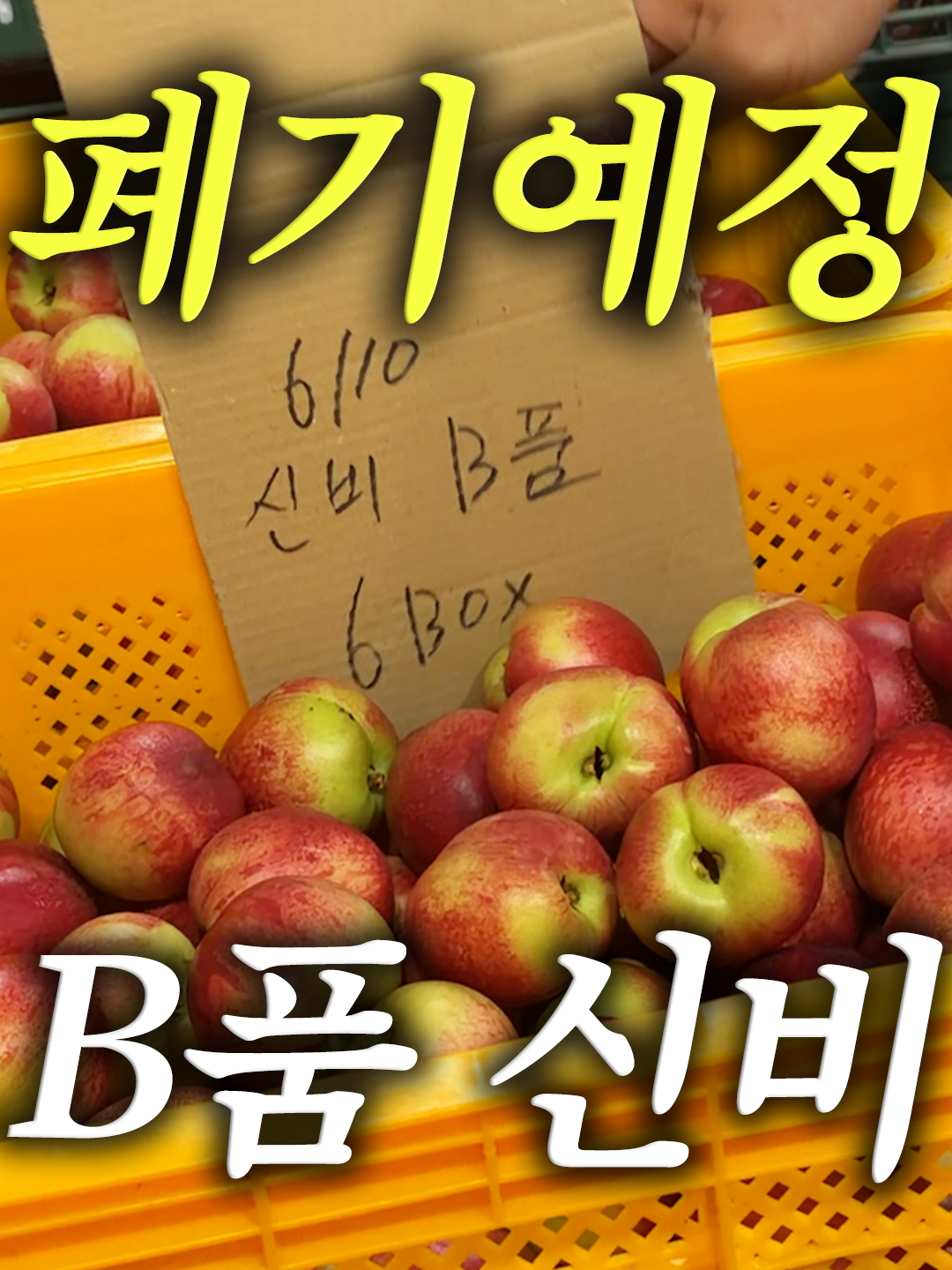 @해운대송사장
