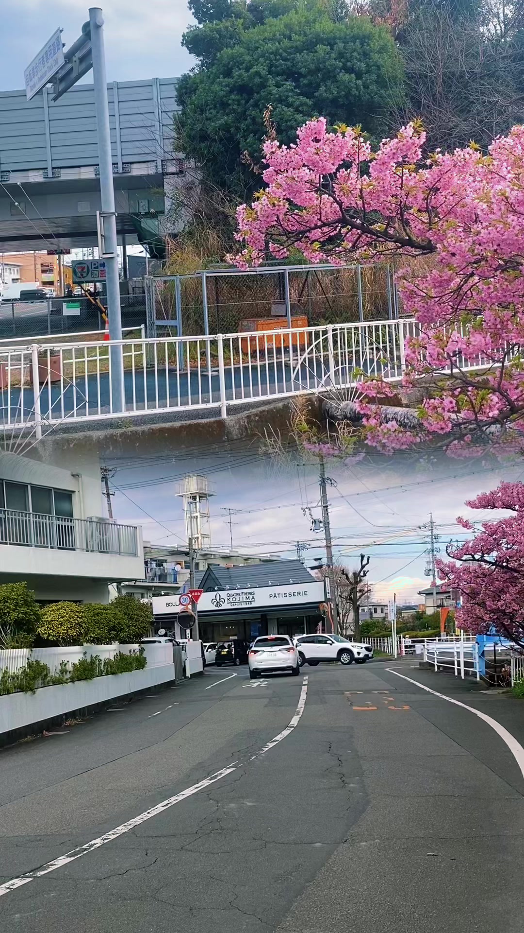 @日本vibes