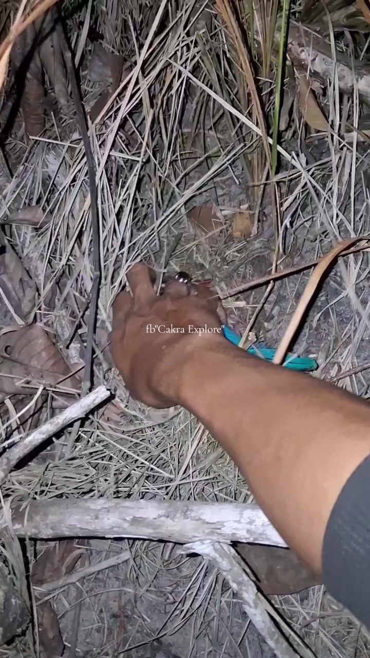 @samudra69
