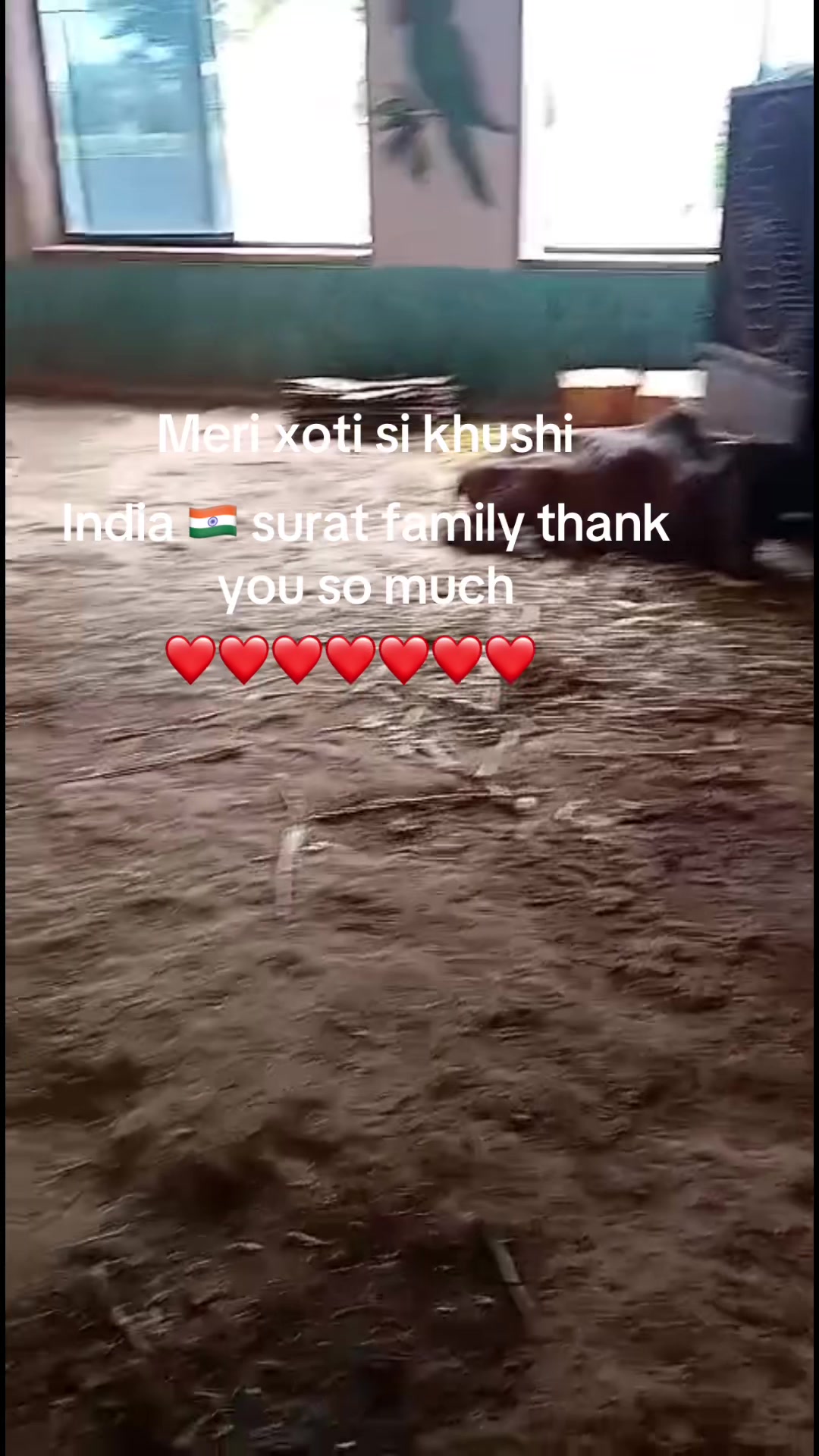 @Renuka Singh thakuri