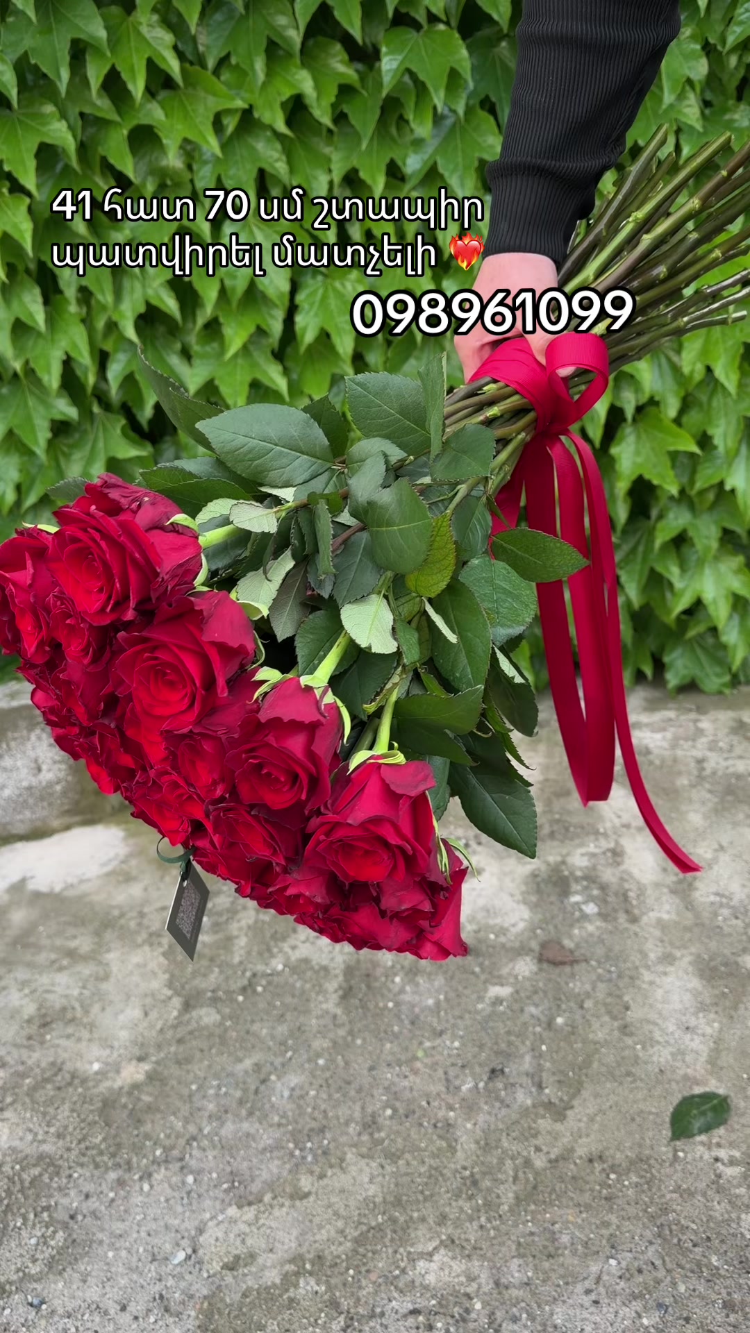 @Թարմ Վարդեր 🌹