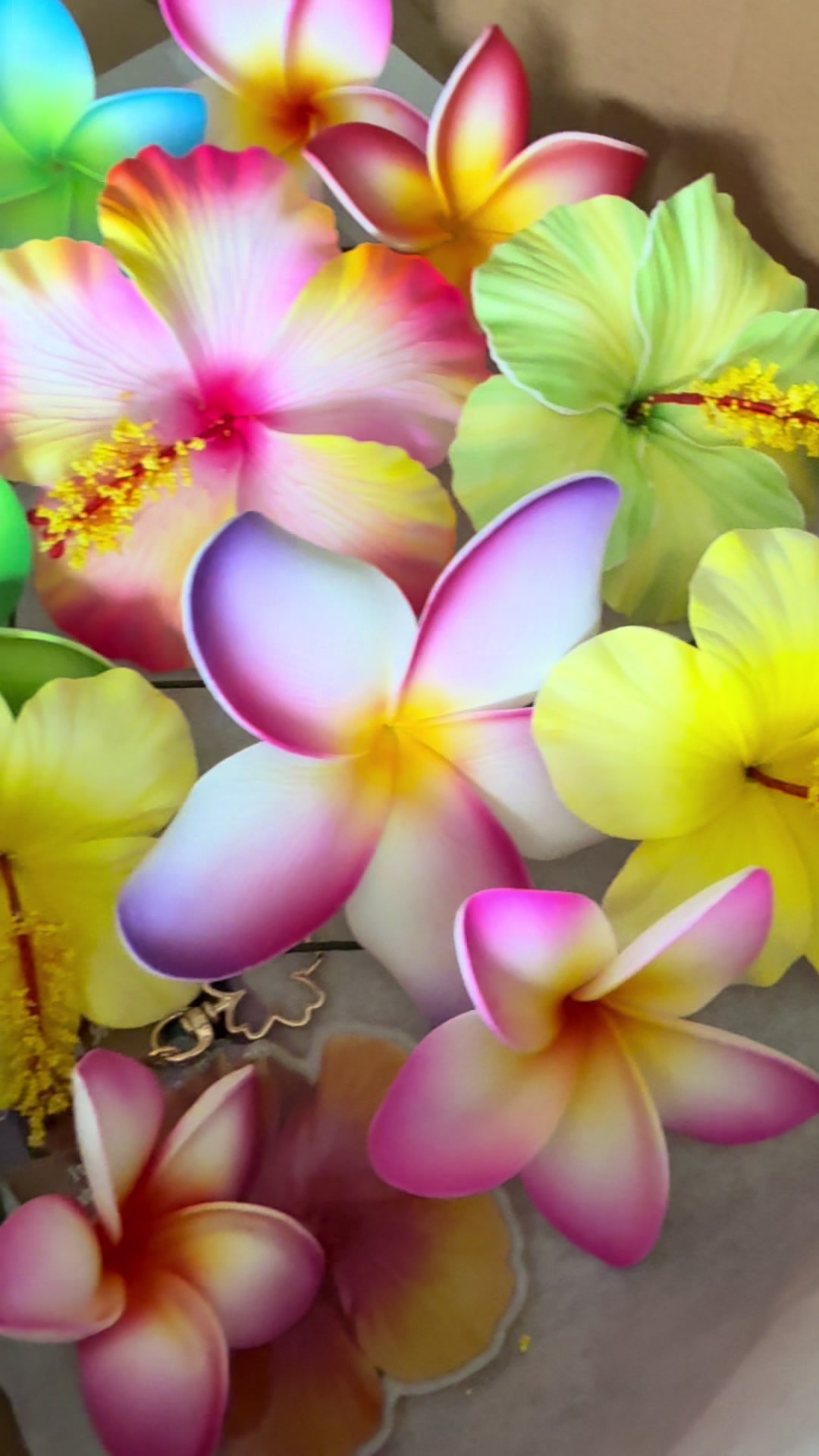 @Island Aesthetica 🌺 Pasifika