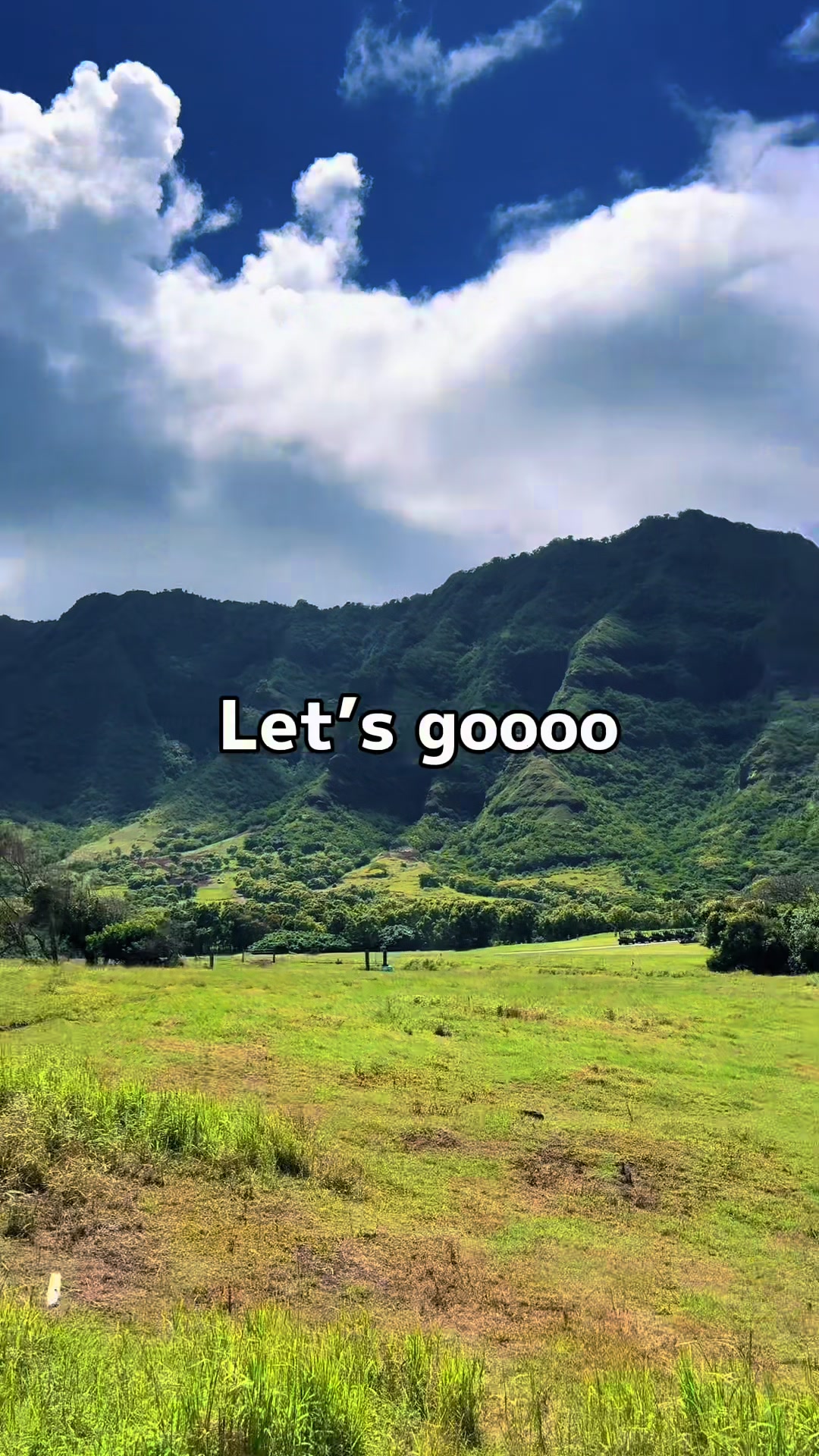 @Aloha Wendyðºð¶