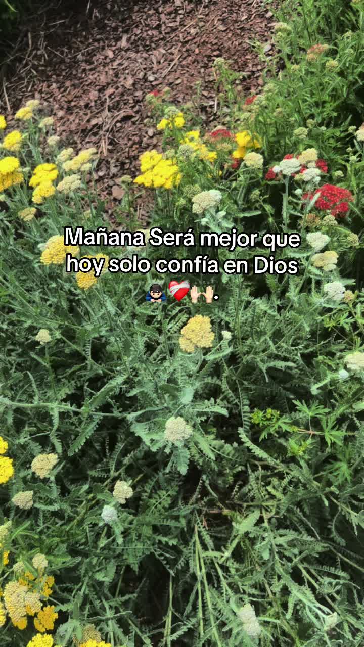 @Less🫦