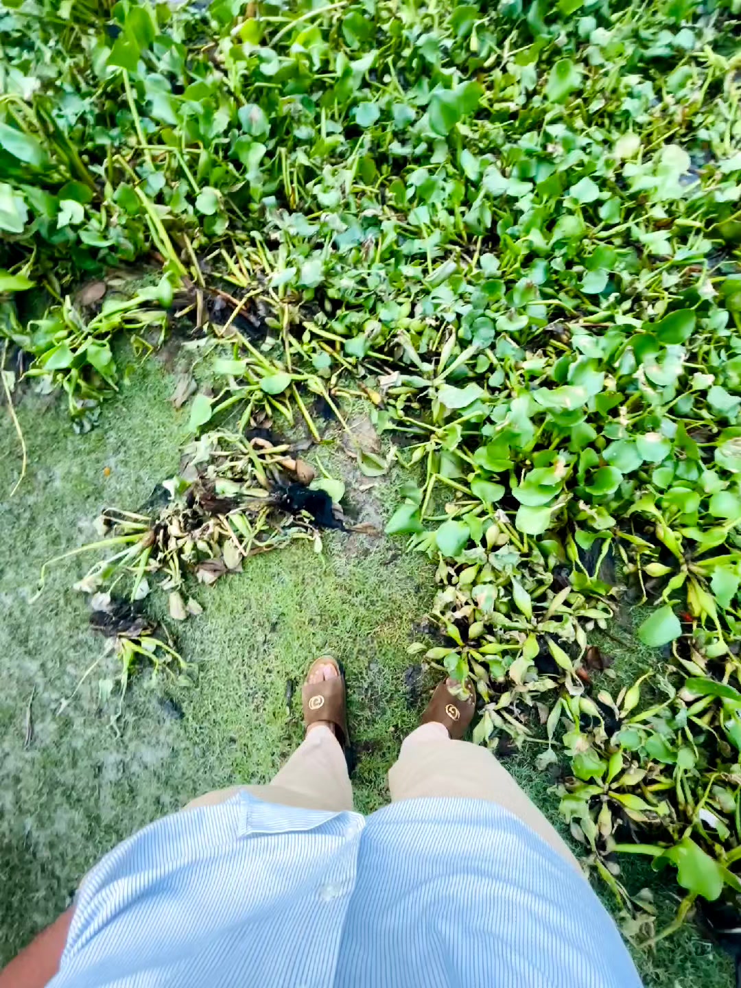 @Me_Ha_RaB☠️💥