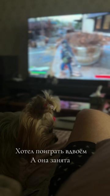 @Филипп Захаров