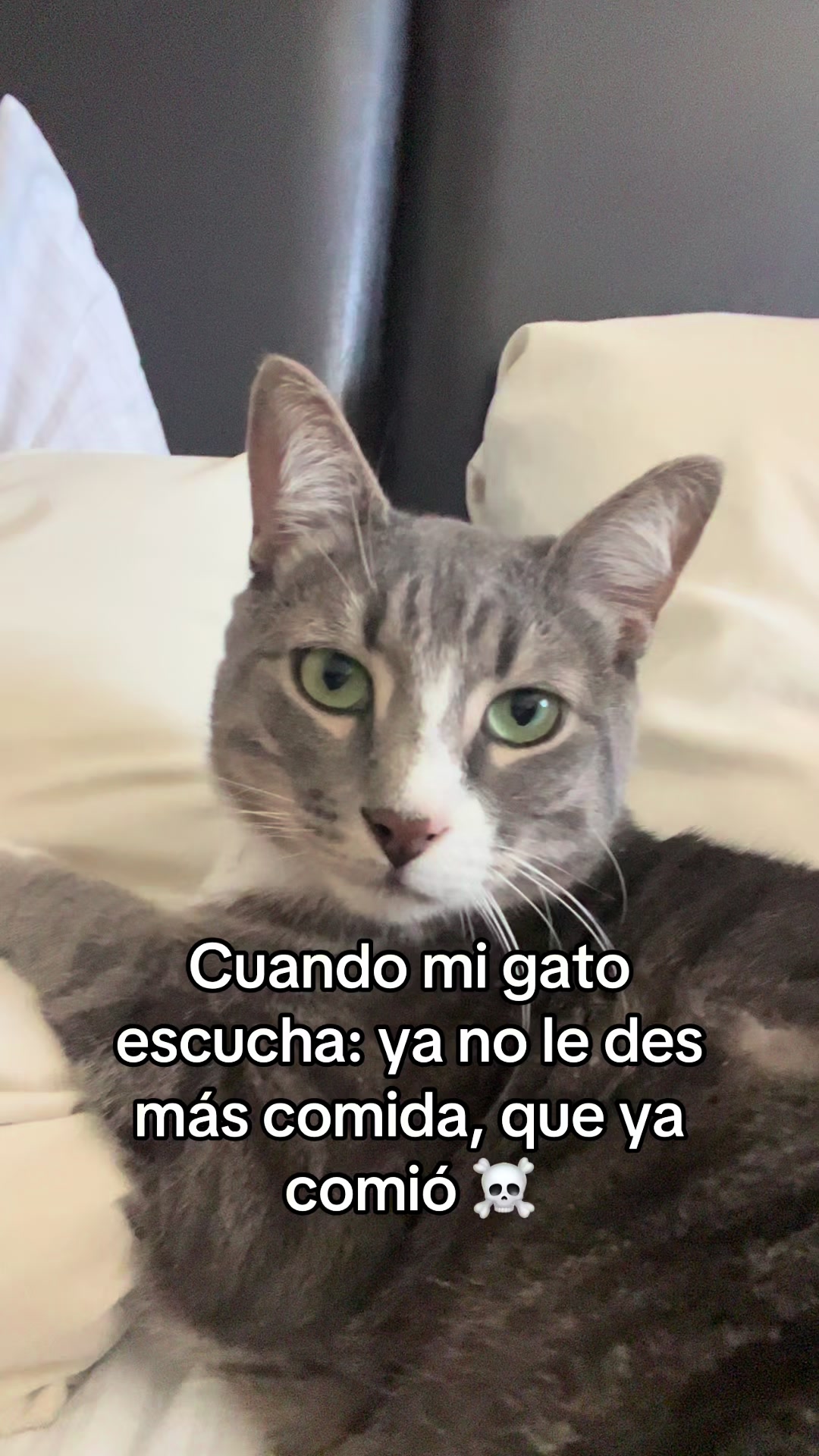 @michimatiass