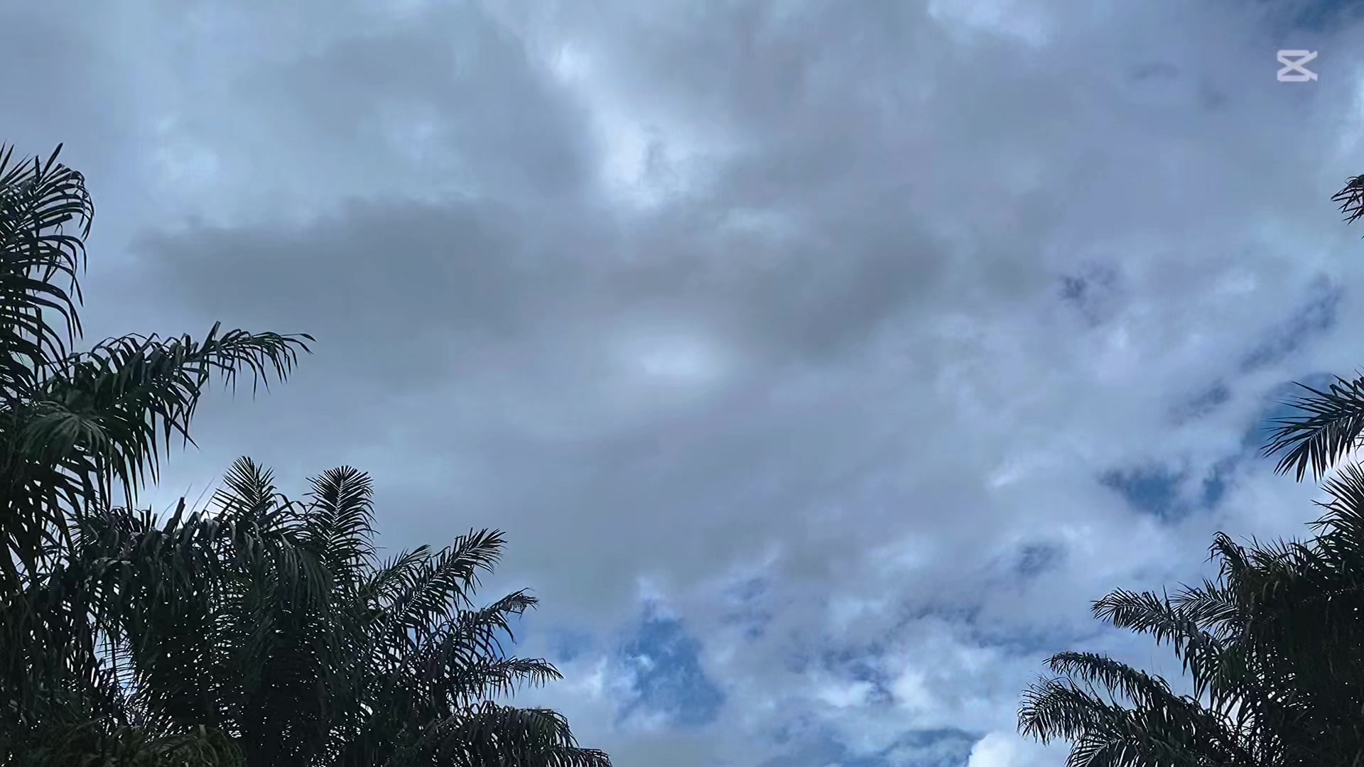 @啊周白虎