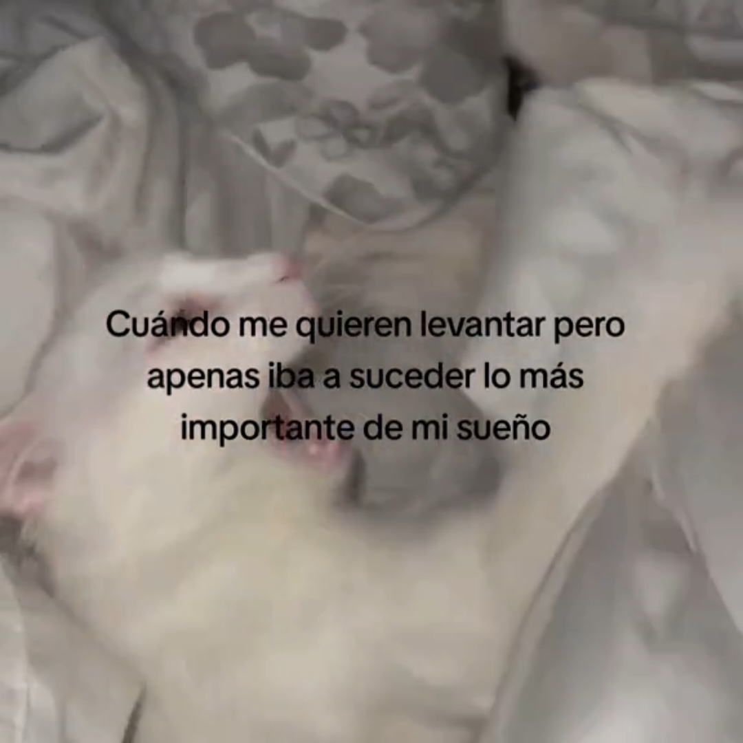 @𝙂𝙖𝙚𝙡 ⋆