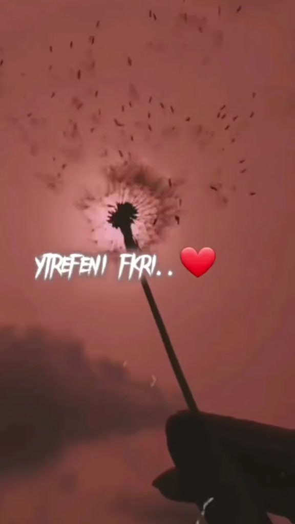 @ከም ልበይ 🤍🦋🇪🇷