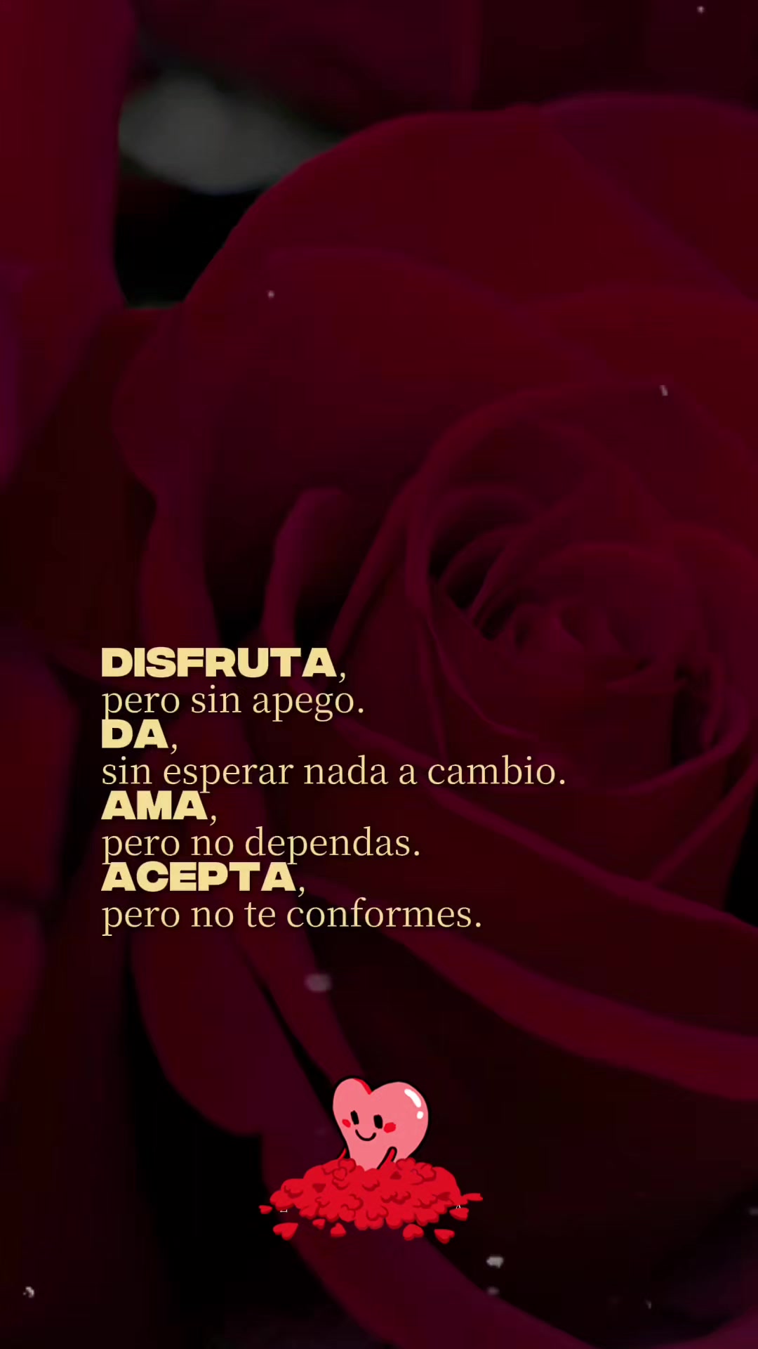 @Herika L.R