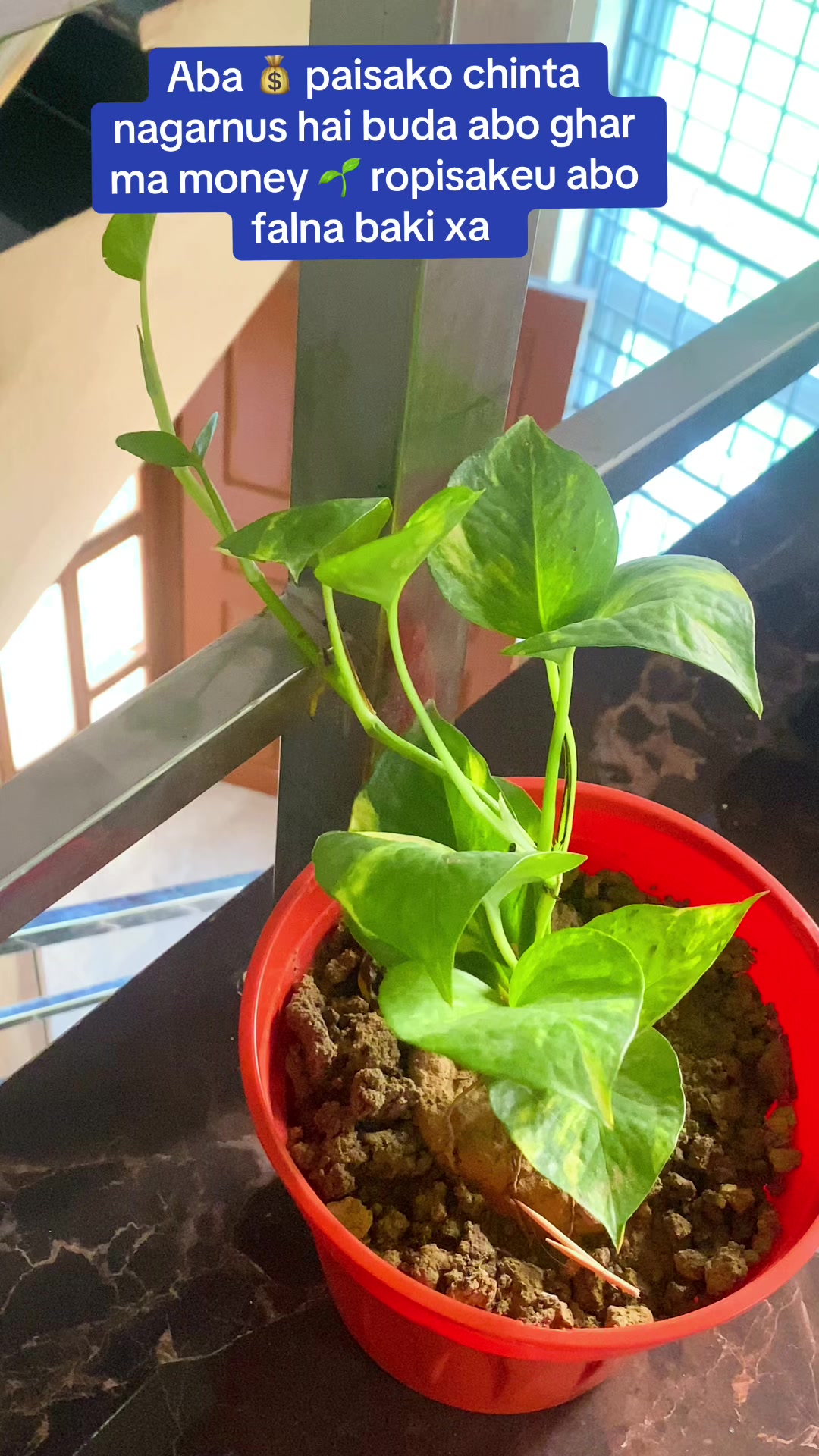 @meena gyawali (मुस्कान)
