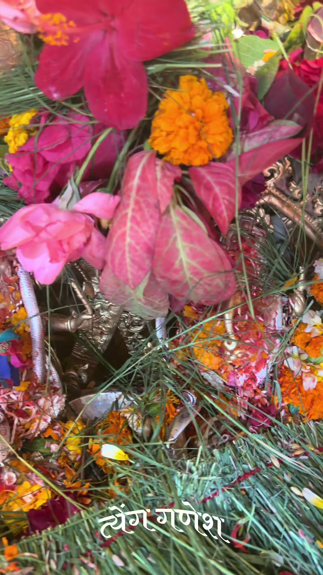 @जात्रा