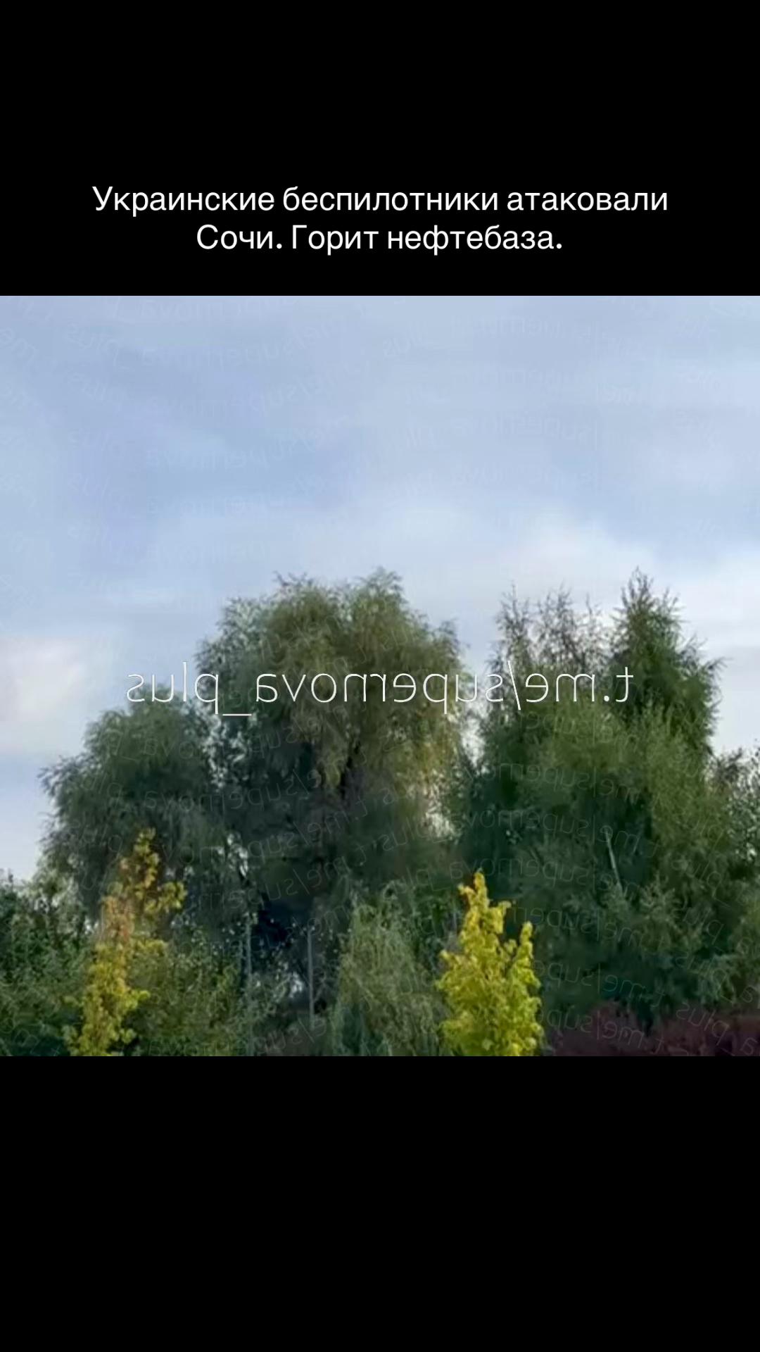 @vtorzhenie