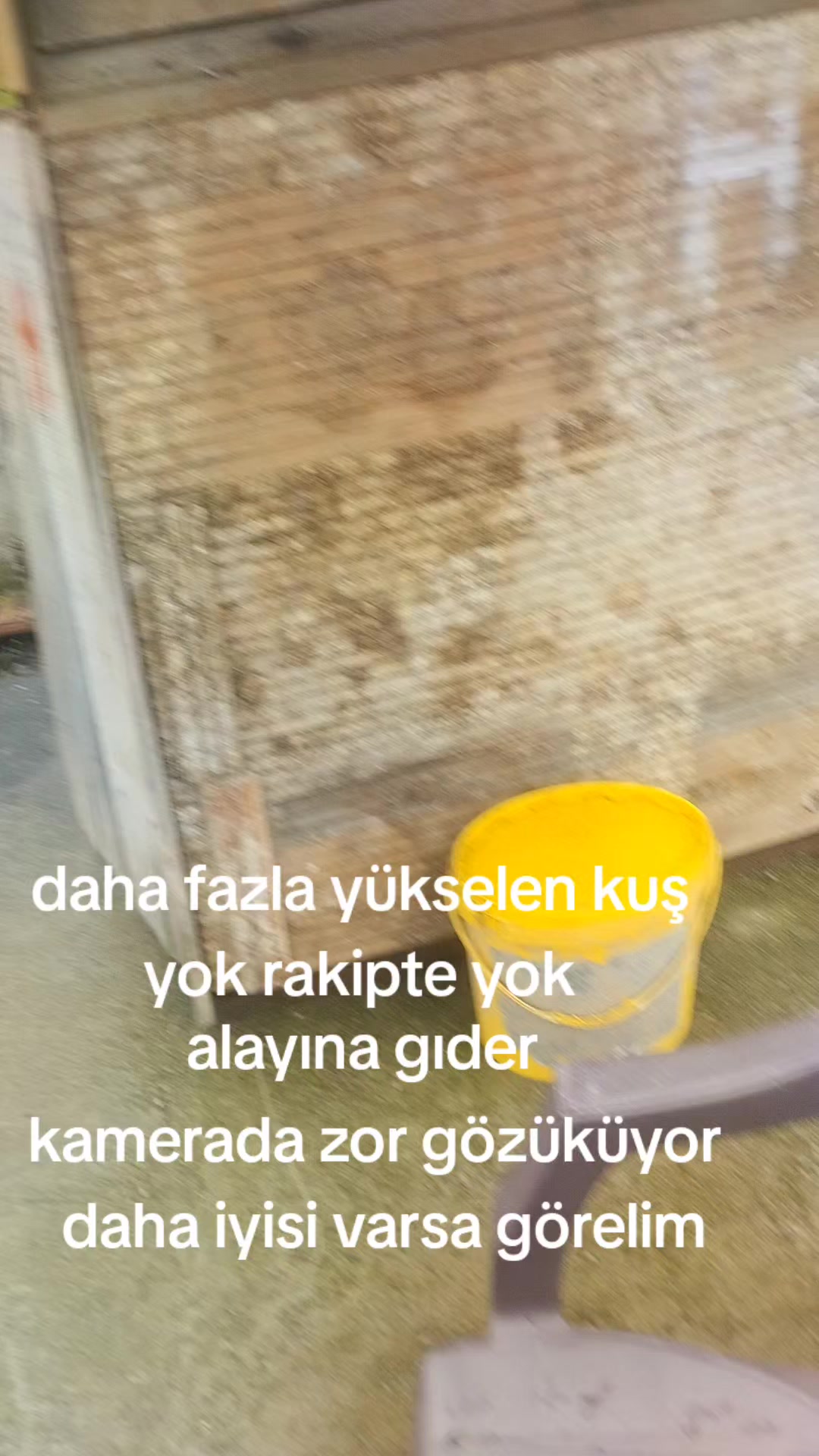 @Hamza