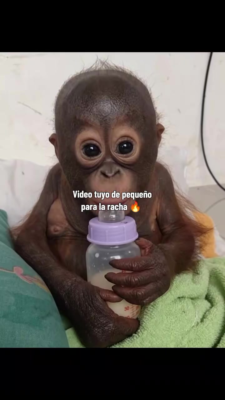 @RabPesito 🔥