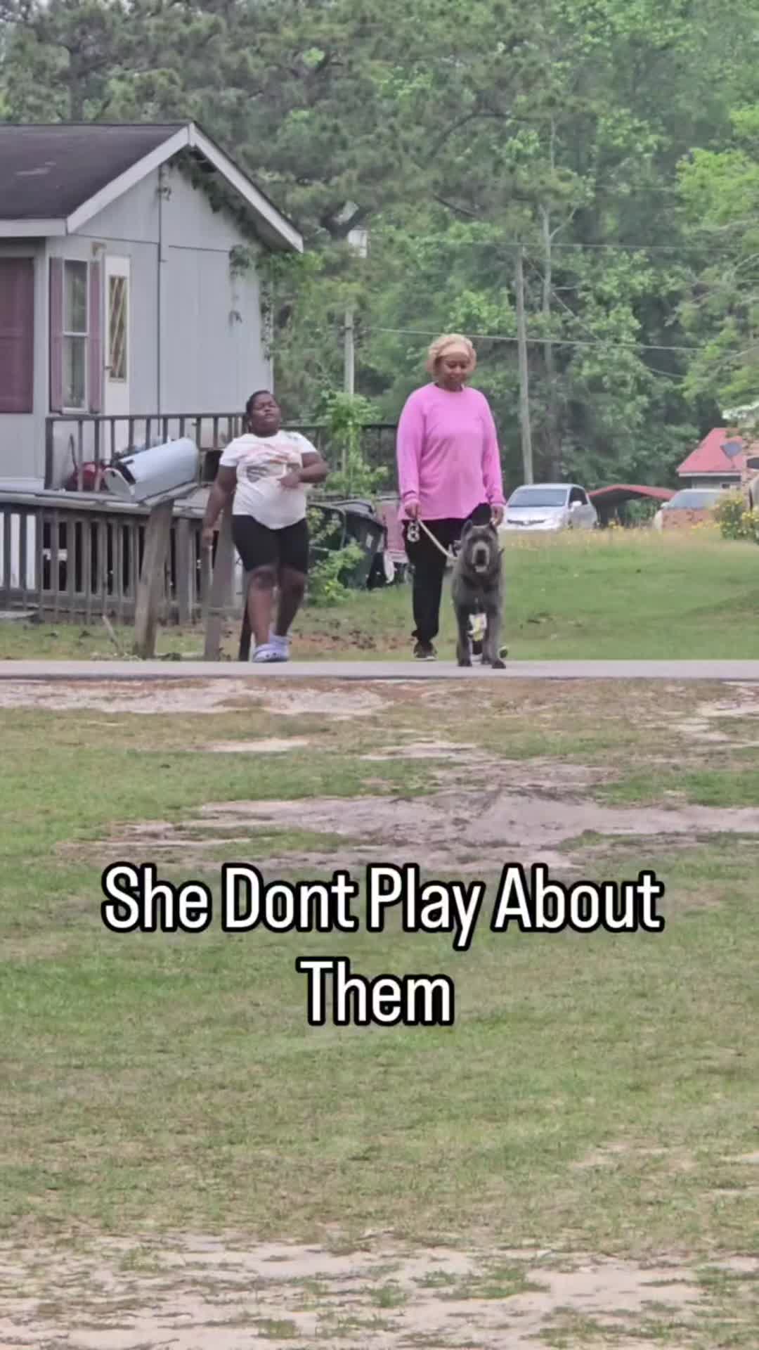@Brandon and Blue Kennels LLC