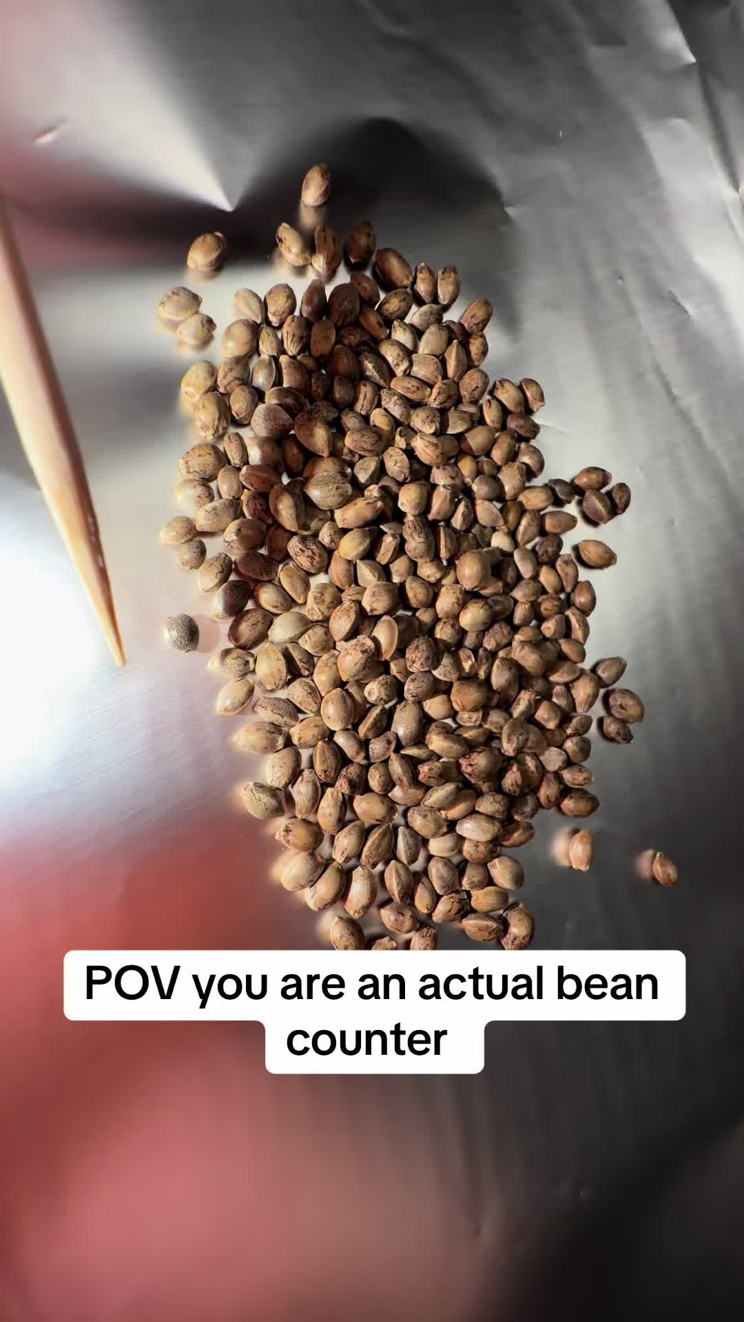 @SEEDTIVA