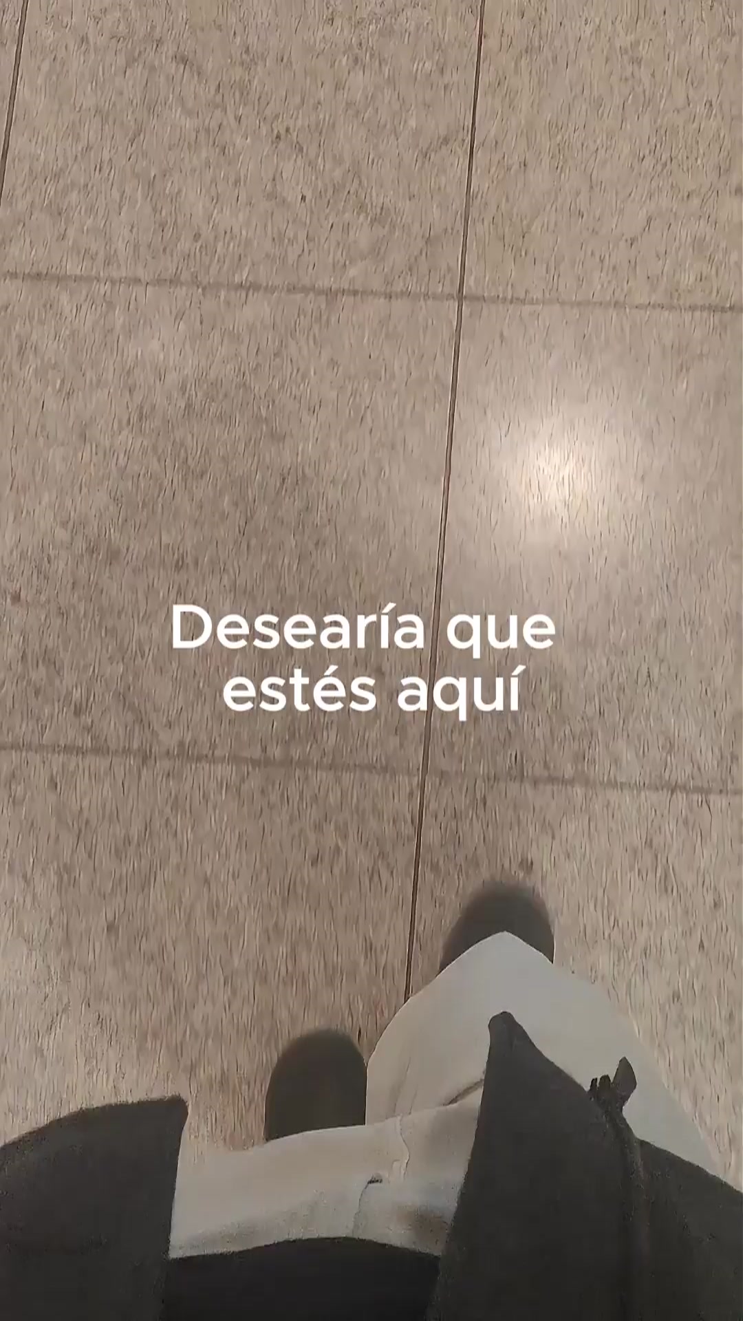 @Tamauta