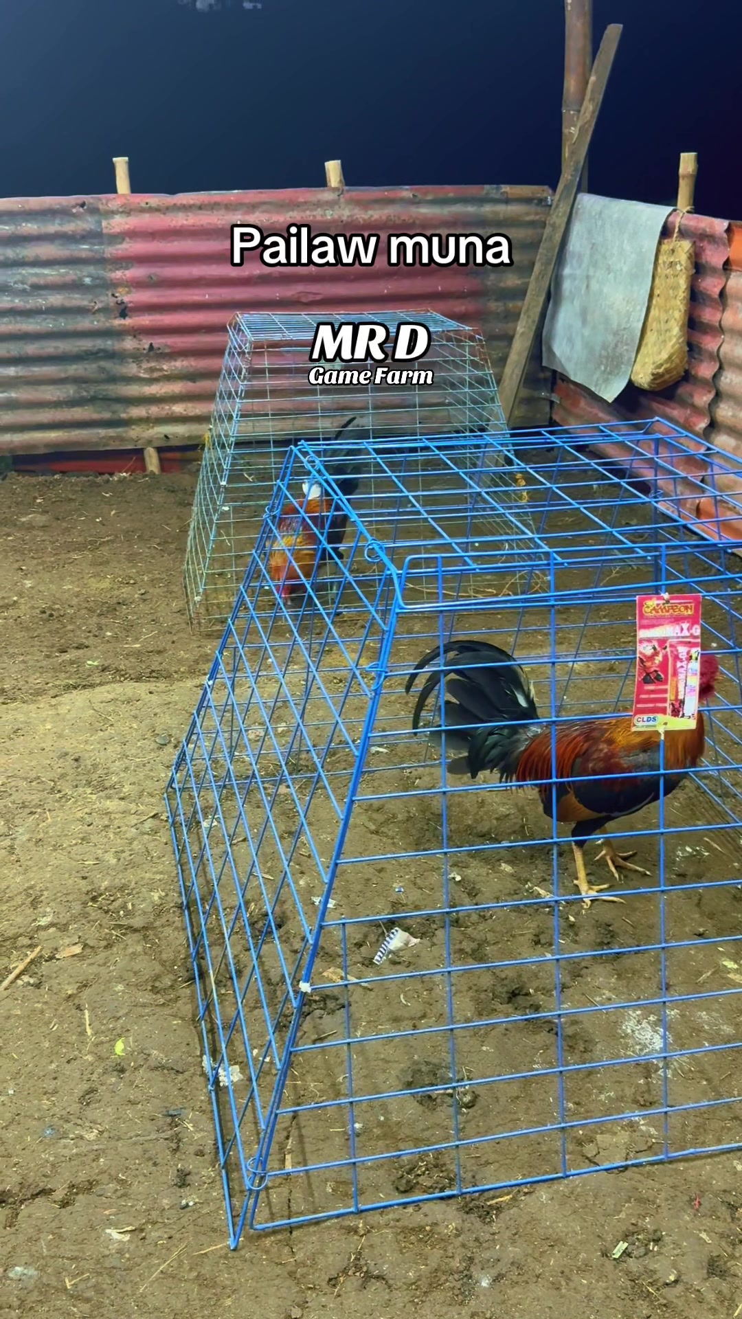 @MR D Game Farm