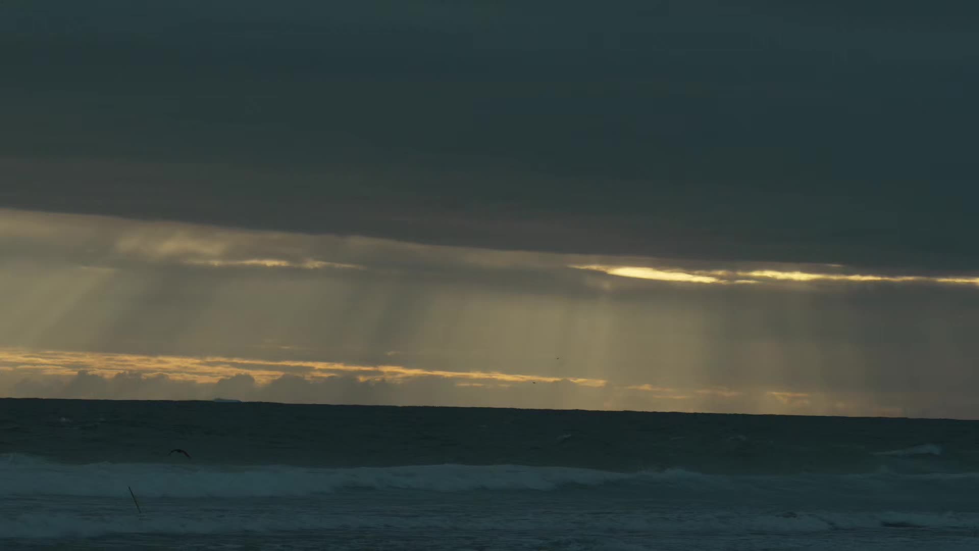 @Efra&iacute;n life 🏄🌊🌤️