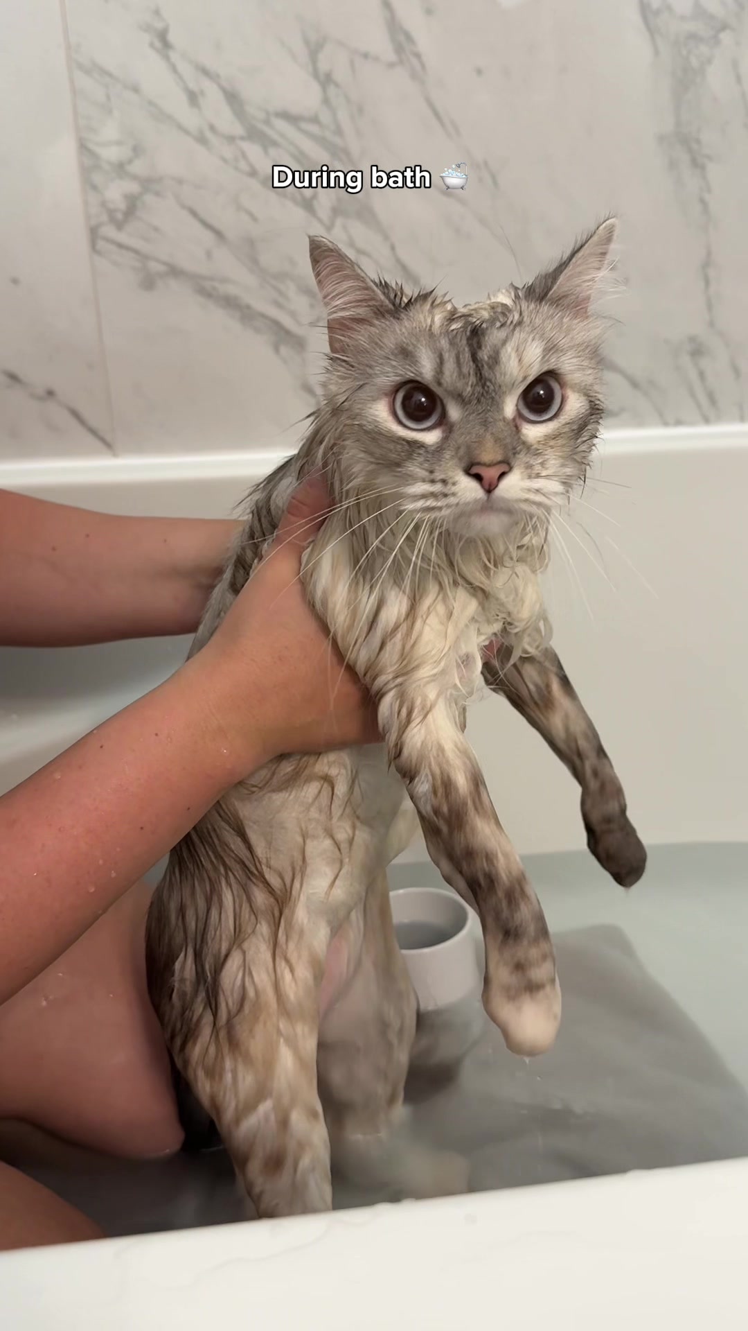 @Freya & Teddy