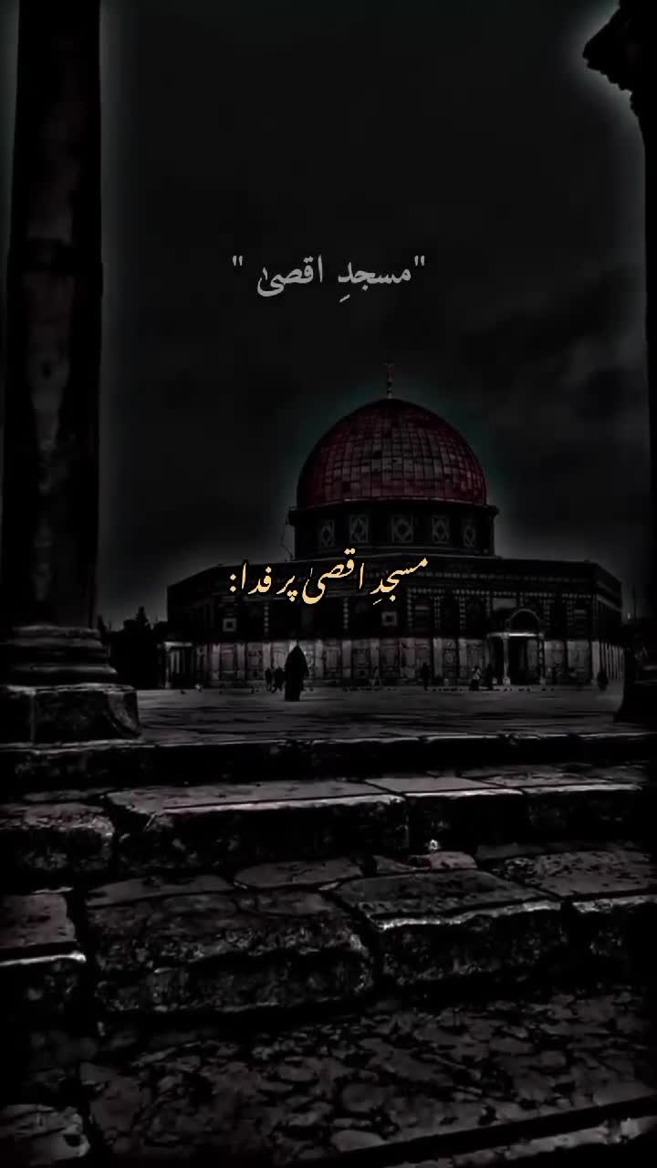 @shahzdi_aesthetic